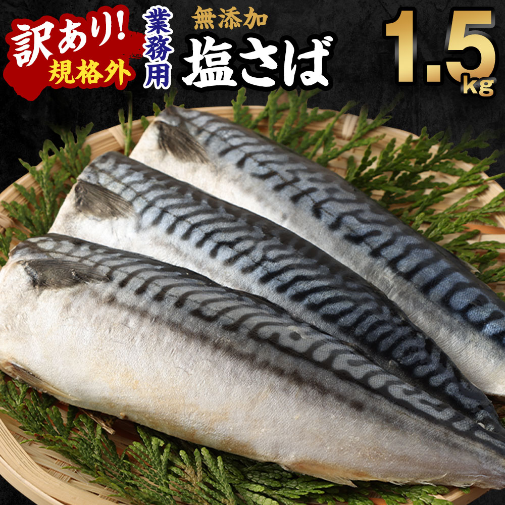 【ふるさと納税】訳あり 規格外 業務用 無添加 塩さば 1.5kg 鯖 サバ さば 魚 国内加工 冷凍 茨城県 神栖市 送料無料