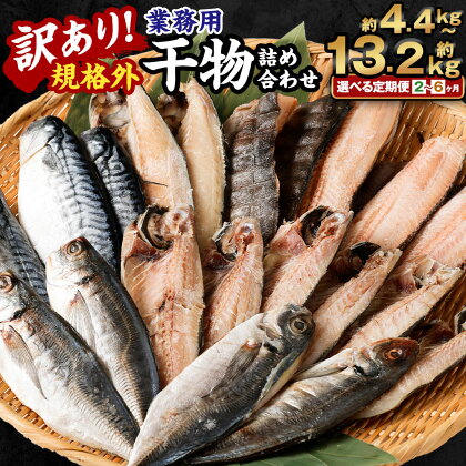 ＜選べる定期便＞訳あり 規格外 業務用 干物詰め合わせ 2.2kg さば あじ ほっけ 鯖 鯵 サバ アジ ホッケ 魚 国内加工 冷凍 茨城県 神栖市 送料無料