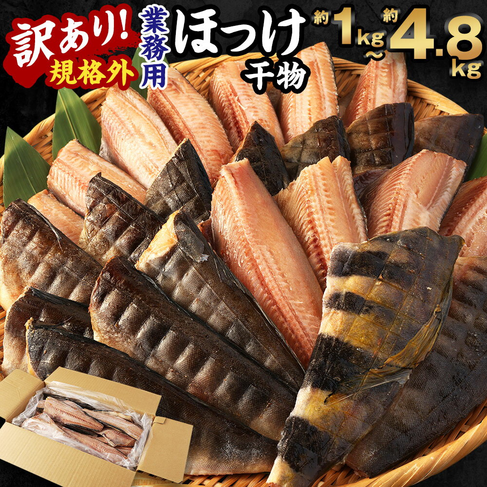 [選べる]訳あり 規格外 業務用 ほっけ 干物 1kg 1.5kg 1.9kg 3kg 4.8kg ホッケ 縞ほっけ 魚 国内加工 冷凍 茨城県 神栖市 送料無料