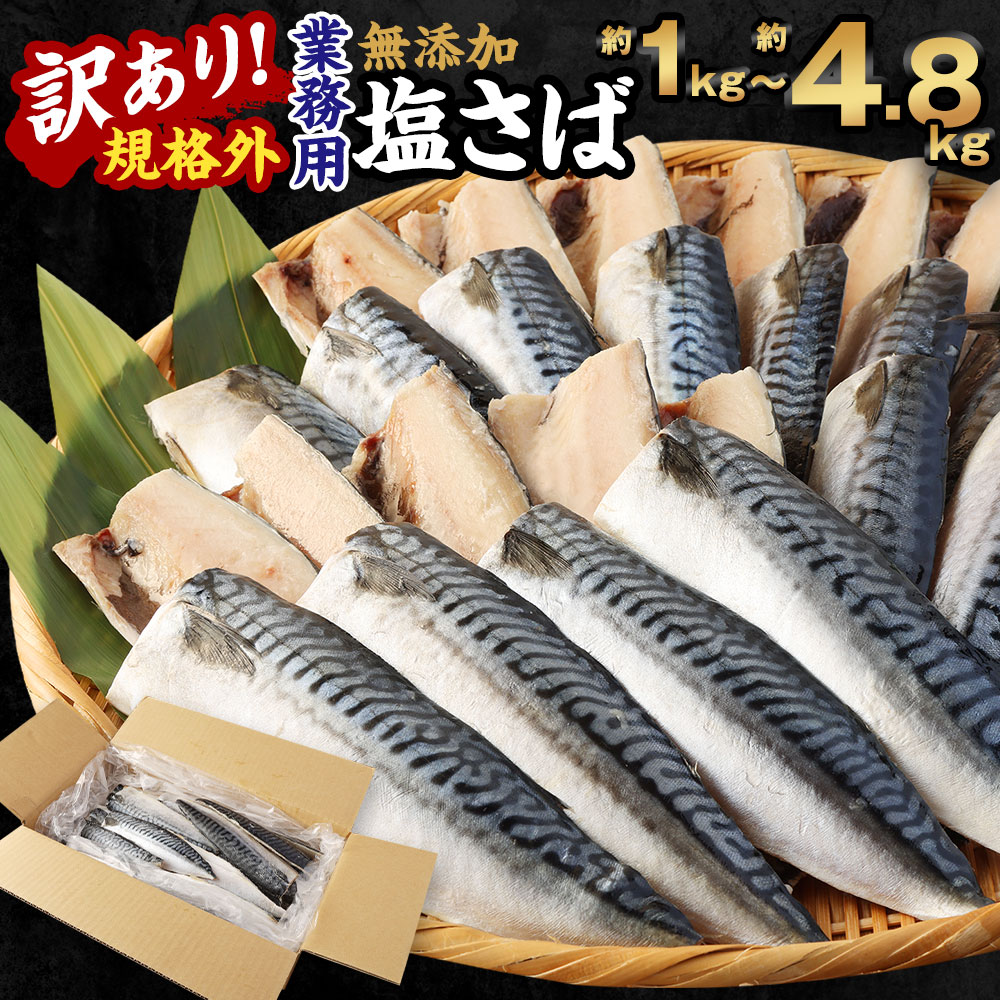 [選べる]訳あり 規格外 業務用 無添加 塩さば 1kg 1.5kg 1.9kg 3kg 4.8kg 鯖 サバ さば 魚 国内加工 冷凍 茨城県 神栖市 送料無料