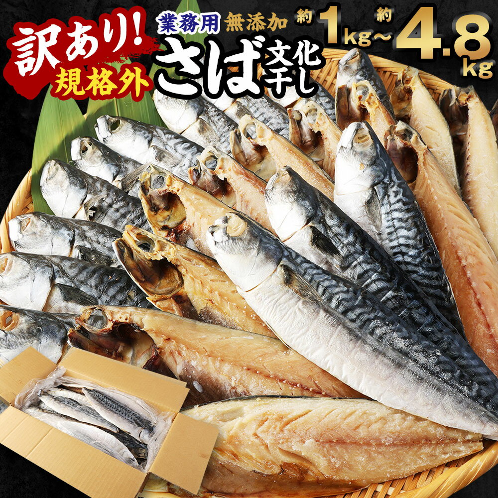 ＜選べる＞訳あり 規格外 業務用 無添加 さば 文化干し 1kg 1.5kg 1.9kg 3kg 4.8kg 鯖 サバ 魚 干物 国内加工 冷凍 茨城県 神栖市 送料無料