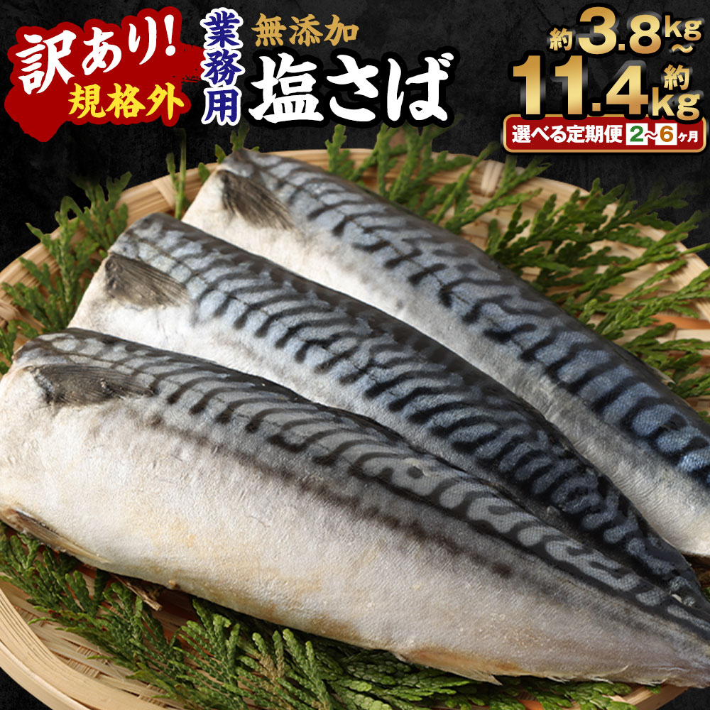 [選べる定期便]訳あり 規格外 業務用 無添加 塩さば 1.9kg 鯖 サバ さば 魚 国内加工 冷凍 茨城県 神栖市 送料無料