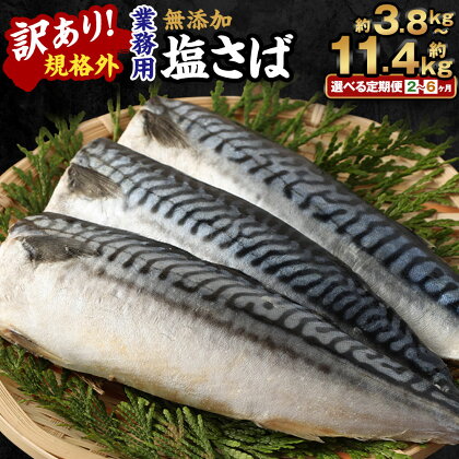 ＜選べる定期便＞訳あり 規格外 業務用 無添加 塩さば 1.9kg 鯖 サバ さば 魚 国内加工 冷凍 茨城県 神栖市 送料無料