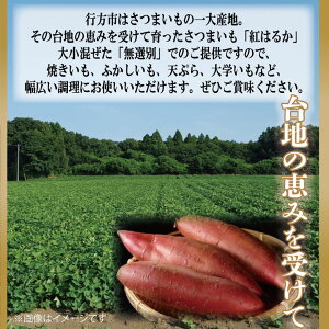 【ふるさと納税】【先行予約】【訳あり】無選別 行方台地のさつまいも 紅はるか10kg｜CU-55