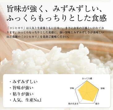 【ふるさと納税】【定期便】田宮さんちのコシヒカリ 5kg×6回