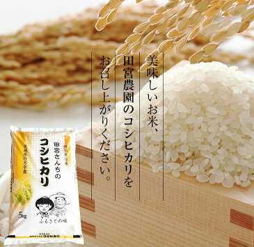 【ふるさと納税】【定期便】田宮さんちのコシヒカリ 5kg×6回