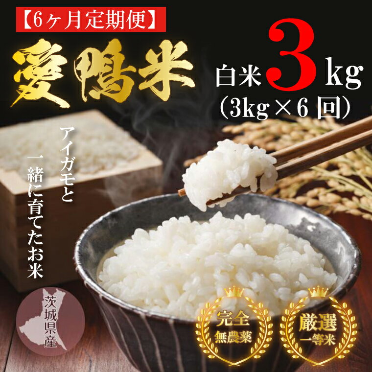 令和5年産【6ヵ月定期便】アイガモと一緒に育てたお米「愛鴨米・白米」3kg×6回｜L-15