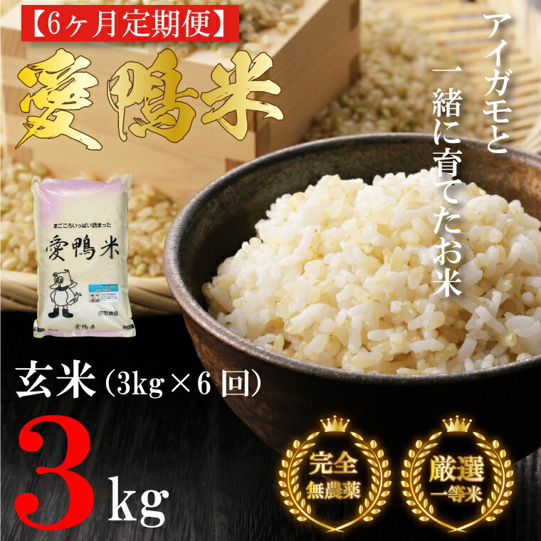 令和5年産【6ヵ月定期便】アイガモと一緒に育てたお米「愛鴨米・玄米」3kg×6回｜L-16