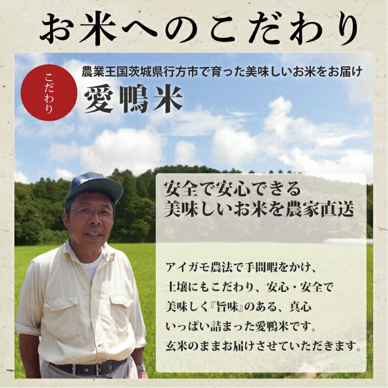 【ふるさと納税】アイガモと一緒に育てたお米「愛鴨米・玄米」3kg×2｜L-3