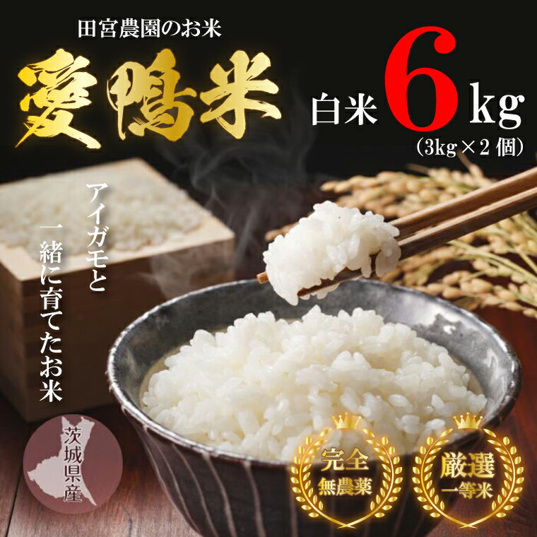 【ふるさと納税】アイガモと一緒に育てたお米「愛鴨米・白米」3kg×2 |L-4