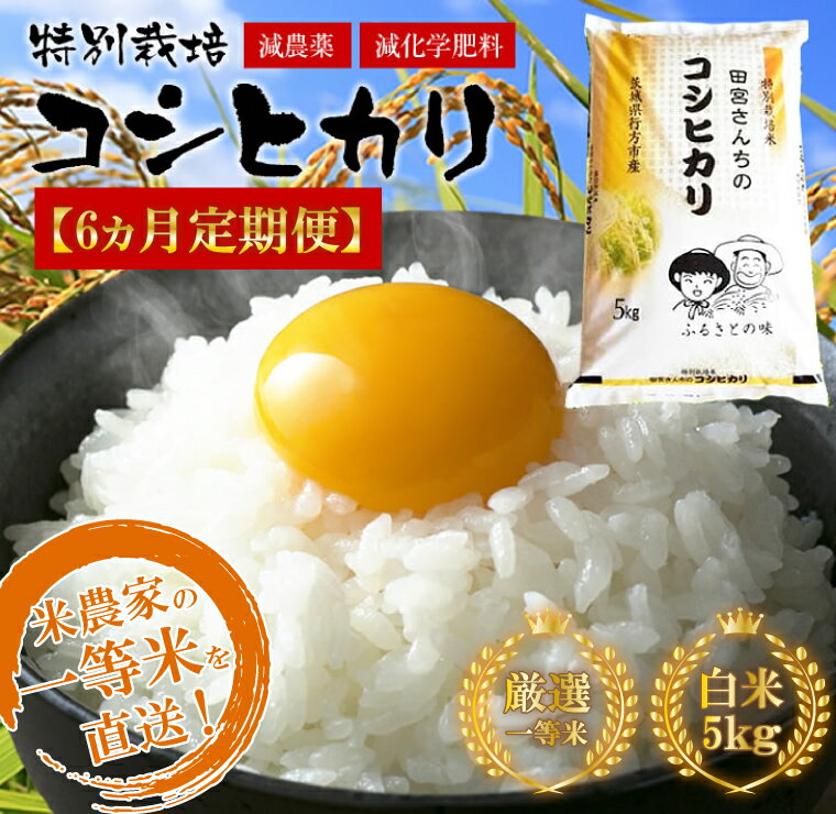 【ふるさと納税】令和5年産 【6ヵ月定期便】田宮さんちのコシヒカリ 5kg×6回｜L-8