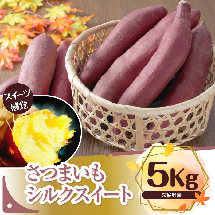 【ふるさと納税】さつまいも 特選シルクスイート 約5kg|さつまいも 芋 ...