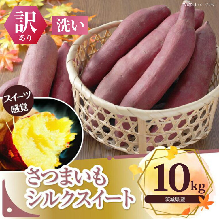 【ふるさと納税】【訳あり】さつまいも　シルクスイート 約10kg｜さつまいも 芋 お芋 わけあり 訳あり シルクスイート タネのハシモト 茨城県 行方市(BS-22)