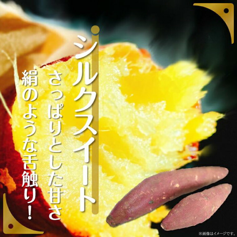 【ふるさと納税】【訳あり】さつまいも　シルクスイート 約10kg｜さつまいも 芋 お芋 わけあり 訳あり シルクスイート タネのハシモト 茨城県 行方市(BS-22)