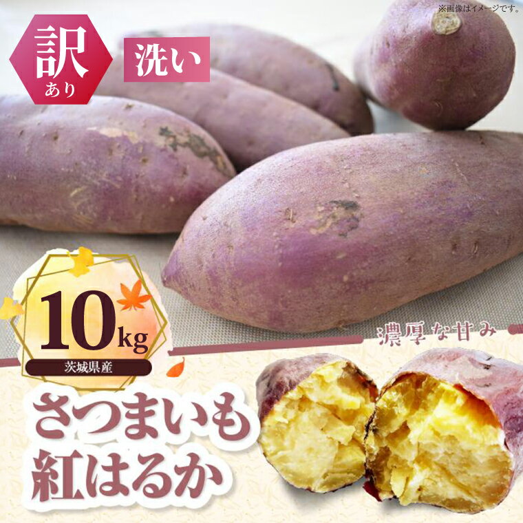 【ふるさと納税】【訳あり】紅はるか 約10kg｜さつまいも 芋 お芋 わけあり 訳あり 紅はるか タネのハシモト 茨城県 行方市(BS-23)