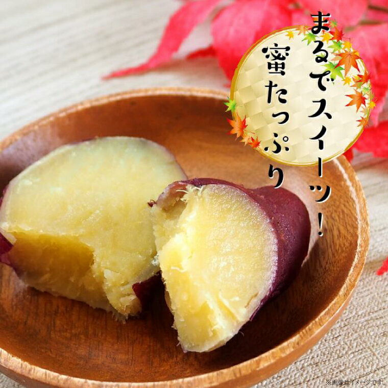 【ふるさと納税】【訳あり】紅はるか 約10kg｜さつまいも 芋 お芋 わけあり 訳あり 紅はるか タネのハシモト 茨城県 行方市(BS-23)