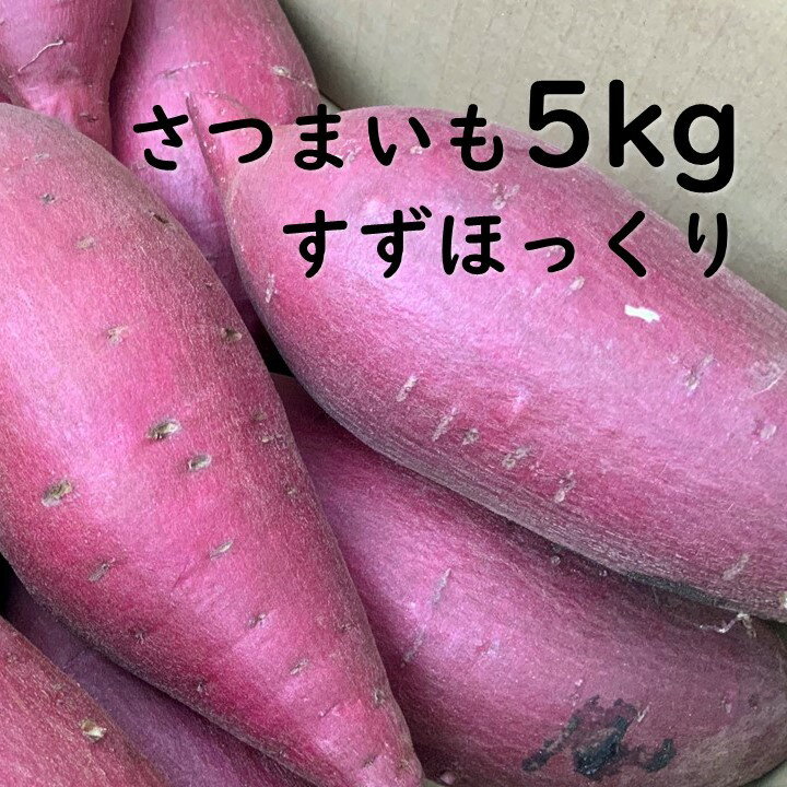 【ふるさと納税】さつまいも　特選すずほっくり 約5kg｜さつまいも 芋 お芋 すずほっくり タネのハシモト 茨城県 行方市(BS-18)(4)