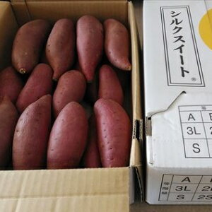 【ふるさと納税】さつまいも シルクスイート 5kg
