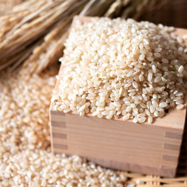 【ふるさと納税】BI-85 6ヶ月定期便【できるだけ農薬を減らして作ったお米】玄米 10kg×6回 こしひかり コシヒカリ マキタ超こしひかり 甘み 濃い味 粘り 殺菌剤・殺虫剤不使用 茨城県 茨城産 行方産 送料無料