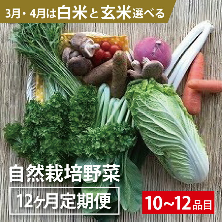 【ふるさと納税】BI-10 【12ヵ月定期便】自然栽培野菜1
