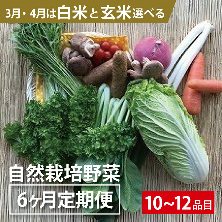 【ふるさと納税】BI-12 【6ヵ月定期便】自然栽培野菜10
