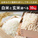 全国お取り寄せグルメ茨城食品全体No.112