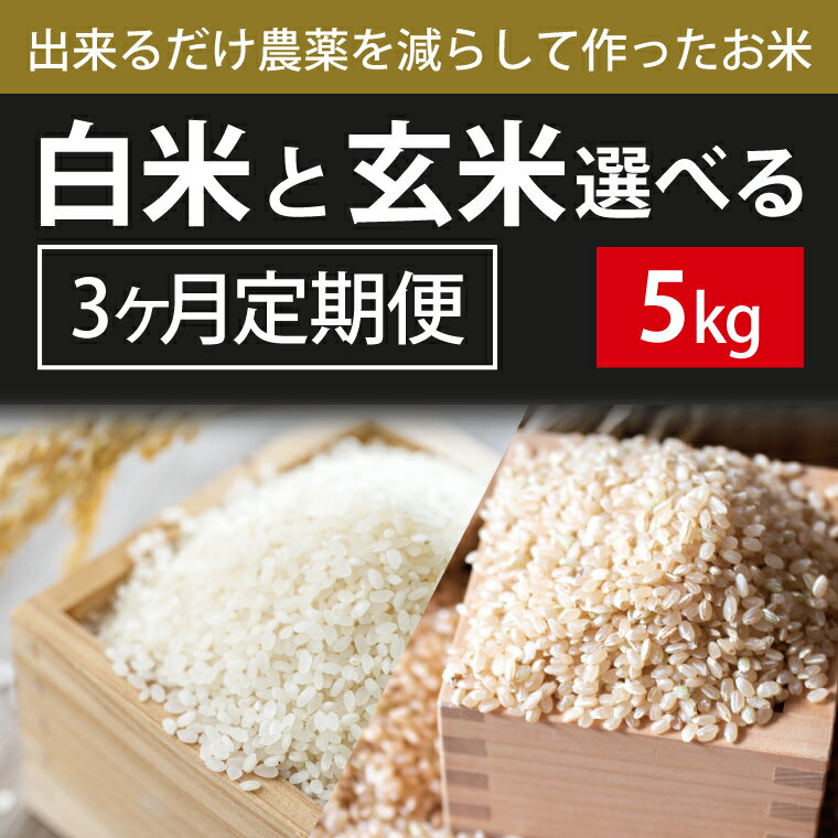 8位! 口コミ数「0件」評価「0」BI-76 3ヶ月定期便【できるだけ農薬を減らして作ったお米】白米または玄米　5kg×3回