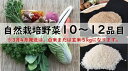 【ふるさと納税】　自然栽培野菜10〜12品目（3月4月は