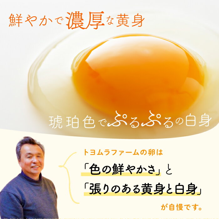 【ふるさと納税】　黄身が濃厚な卵 アスタの恵み 50個入×1ケース 朝採りたまご 新鮮 産地直送 国産 茨城県行方市 送料無料｜U-2