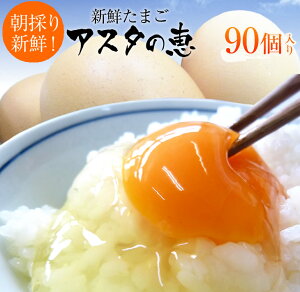 【ふるさと納税】黄身が濃厚な卵 アスタの恵み 90個入(10個入9パック詰) 朝採りたまご 新鮮 産地直送 国産 茨城県行方市 送料無料|U-3
