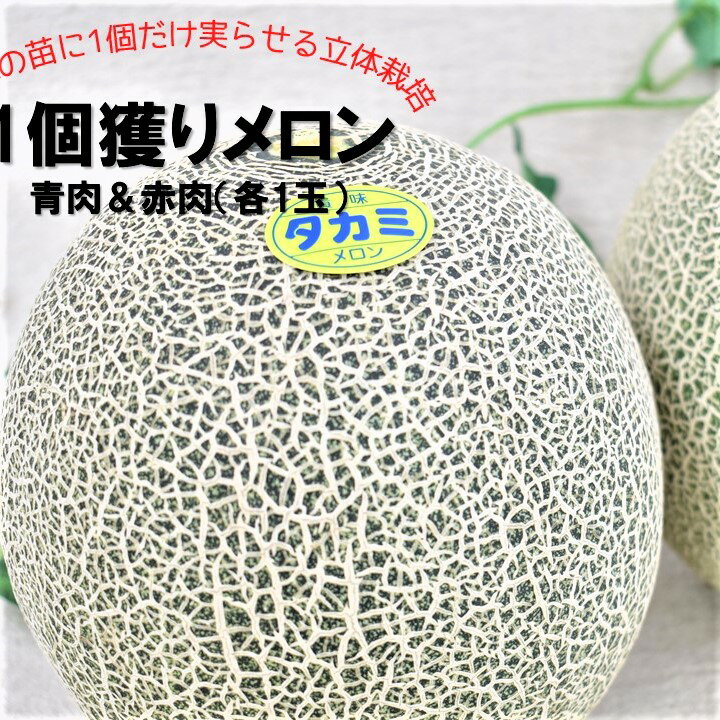 全品送料無料 ふるさと納税 1個獲りメロン 青肉 赤肉 各1玉 青肉 赤肉メロン 立体栽培法 1本1個獲り 青1玉 赤1玉 2玉 タカミメロン 贈答用 プレゼント 激安の Savelistingfee Ca 全品送料無料 ふるさと納税 1個獲りメロン 青肉 赤肉 各1玉 青肉 赤肉メロン 立体栽培法 1本1個獲り 青1玉 赤1玉 2玉 タカミメロン 贈答用 プレゼント 激安の Savelistingfee Ca