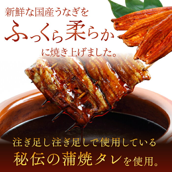 【ふるさと納税】【3か月定期便】やわらか新仔うなぎ食べ切りサイズ100～120g　3尾×3回　計900g以上　AD-110