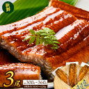 【ふるさと納税】◆大幅リニューアル◆厳選国産うなぎ蒲焼 3尾...