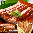 【ふるさと納税】◆大幅リニューアル◆ 特大!厳選国産うなぎ蒲...