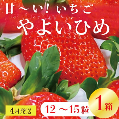 【4月発送】甘～い！いちご　やよいひめ　12粒～15粒入り　1箱｜V-17