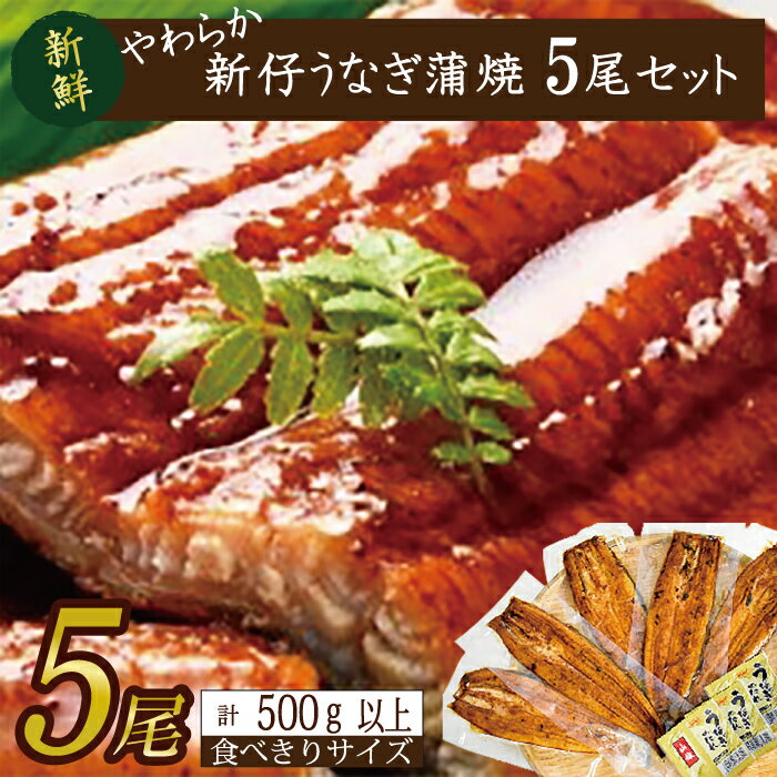 【ふるさと納税】やわらか新仔うなぎ食べ切りサイズ100～120g　5尾　計500g以上　AD-103