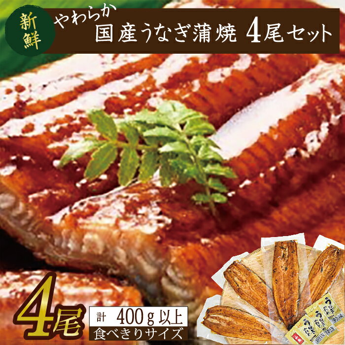 【ふるさと納税】やわらか国内産うなぎ蒲焼き！ 食べ切りサイズ100～120g 4尾　計4...