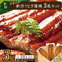 【ふるさと納税】やわらか国内産うなぎ蒲焼き! 食べ切りサイズ100〜120g 3尾 計300g以上|うなぎ 鰻 蒲焼 食べ切り 茨城県 行方市(AD-105-1...
