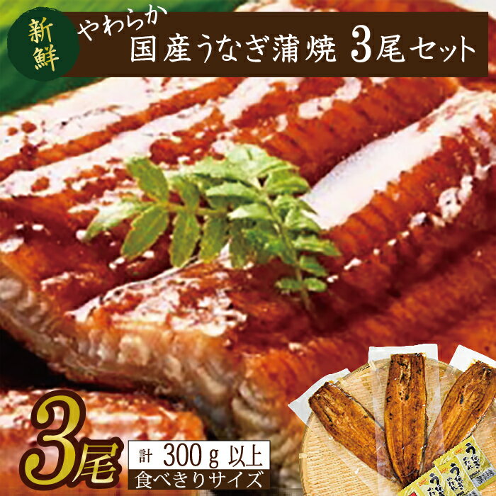 楽天茨城県行方市【ふるさと納税】やわらか国内産うなぎ蒲焼き！ 食べ切りサイズ100～120g 3尾　計300g以上|うなぎ 鰻 蒲焼 食べ切り 茨城県 行方市（AD-105-1）