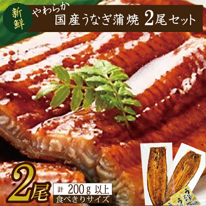 【ふるさと納税】やわらか国内産うなぎ蒲焼き！ 食べ切りサイズ100～120g 2尾　計2...