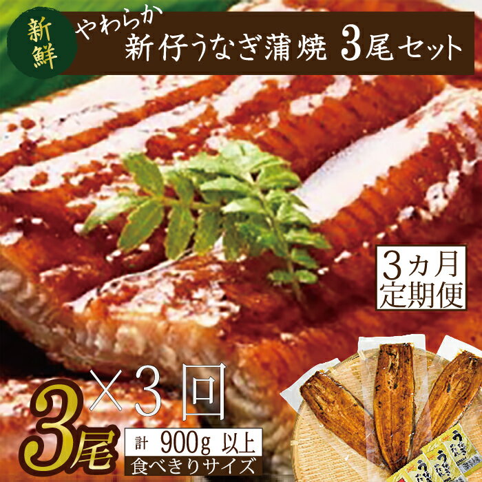 【ふるさと納税】【3か月定期便】やわらか新仔うなぎ食べ切りサイズ100～120g　3尾×3回　計900g以上　AD-110