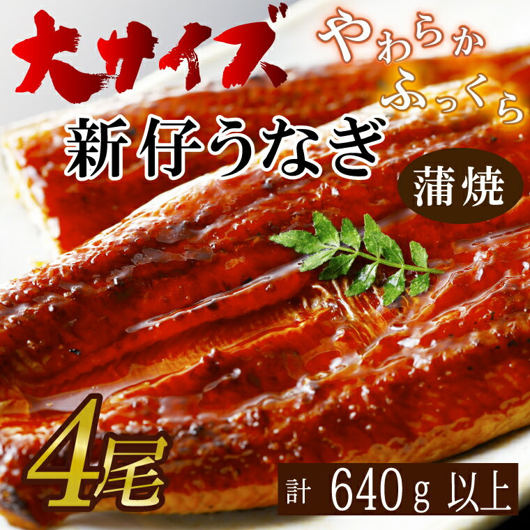 【ふるさと納税】やわらか新仔うなぎ大サイズ160～170g　4尾　計640g以上　AD-114