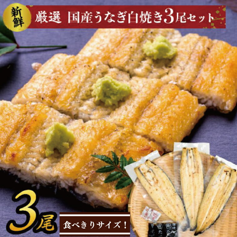 【ふるさと納税】食べきりサイズ！国内産うなぎの白焼（酒蒸し）3尾　計345g以上(AD-129-1)