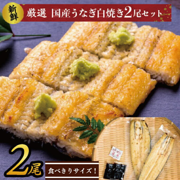 食べきりサイズ!国内産うなぎの白焼(酒蒸し)2尾 計230g以上(AD-130-1)