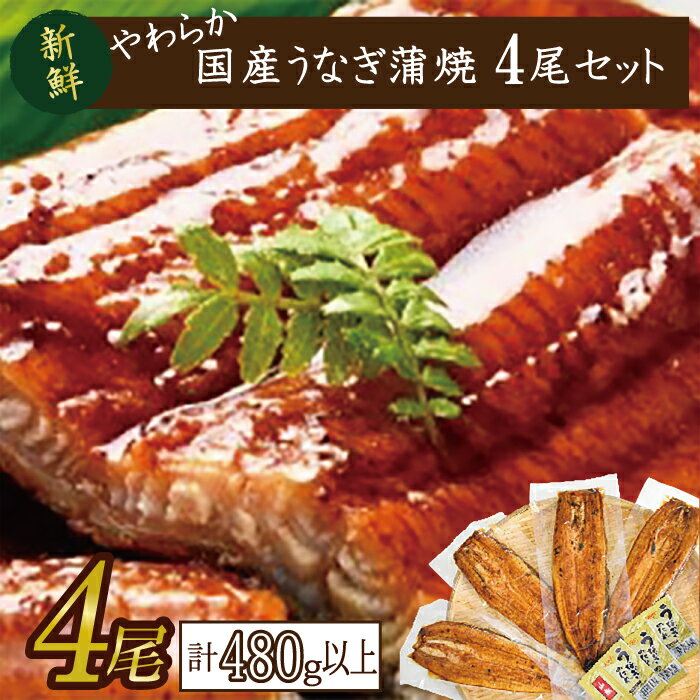 【ふるさと納税】やわらか国内産うなぎ蒲焼満足サイズ！120～140g 4尾　計480g以上...
