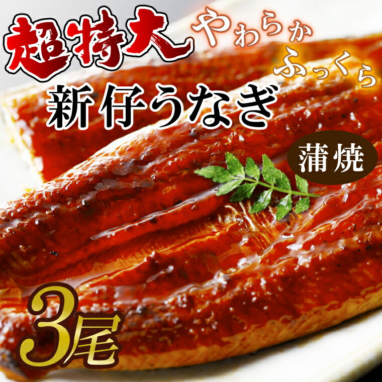 楽天茨城県行方市【ふるさと納税】超特大！やわらか国内産うなぎ蒲焼220～250g 3尾　計660g以上|うなぎ 鰻 蒲焼 特大 茨城県 行方市（AD-94-1）