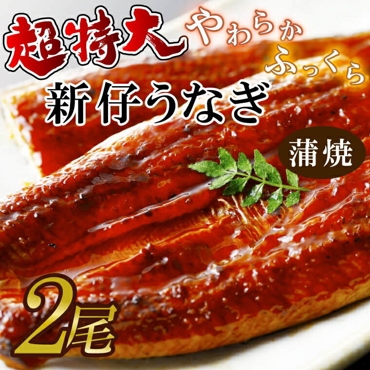 【ふるさと納税】やわらか新仔うなぎ超特大蒲焼220~250g 2尾 計440g以上(AD-95-1)