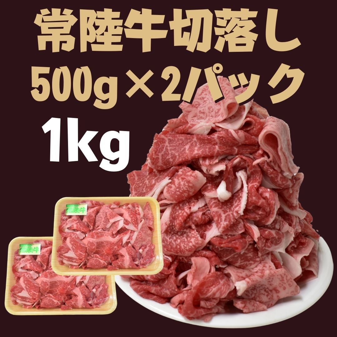 【ふるさと納税】 常陸牛 切落し 500g×2パック 計1kg | DH-11