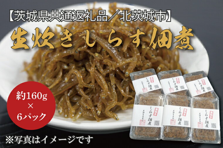 【ふるさと納税】【茨城県共通返礼品/北茨城市】生炊きしらす佃煮 約160g×6パック(DO-3-1)