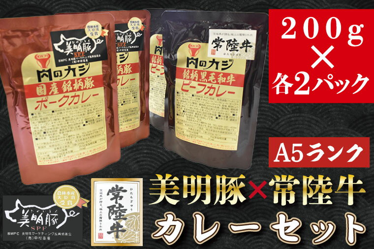 43位! 口コミ数「0件」評価「0」【常陸牛A5ランク】カレー2パック＋【美明豚】カレー2パック｜DT-42